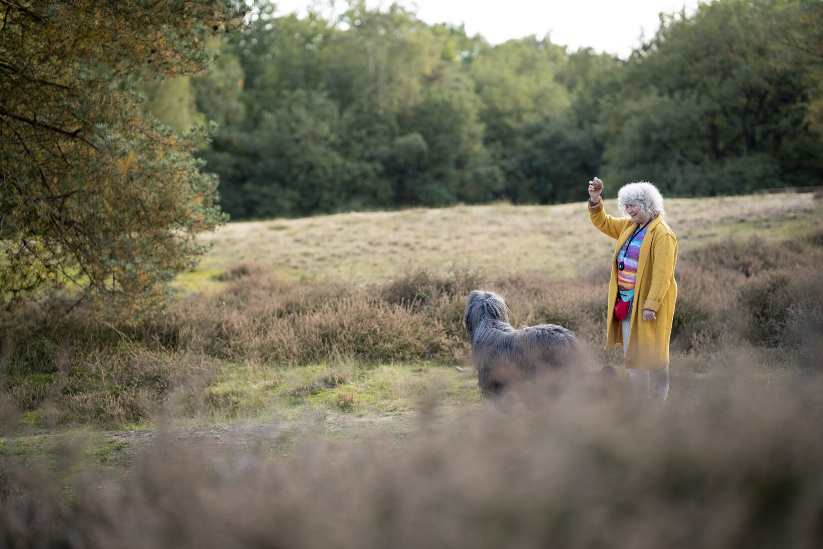 Mevrouw met haar hond